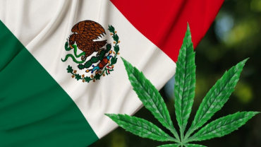 Interesados podrán solicitar permiso para el consumo lúdico de marihuana en México