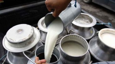 Crecimiento del sector lechero de Mexicali