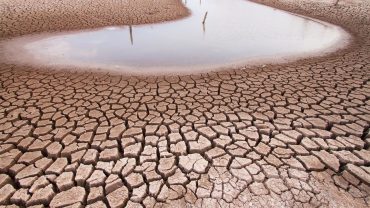 Sequía afecta productores en el País