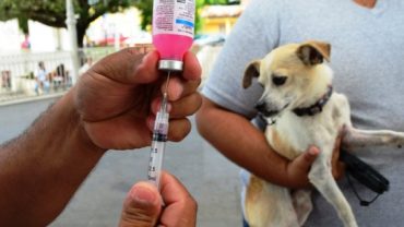 Nuevos puntos de vacunación contra la rabia en Mexicali