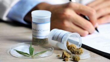 Solicitan que pacientes puedan tener acceso a marihuana medicinal