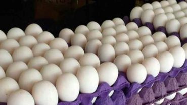 Buena noticia: baja el precio del huevo