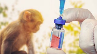 Se registran 91 casos de viruela del mono en el país